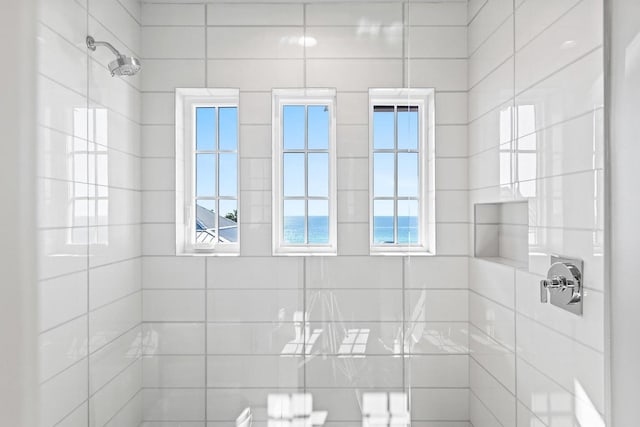 bathroom with a water view and a tile shower