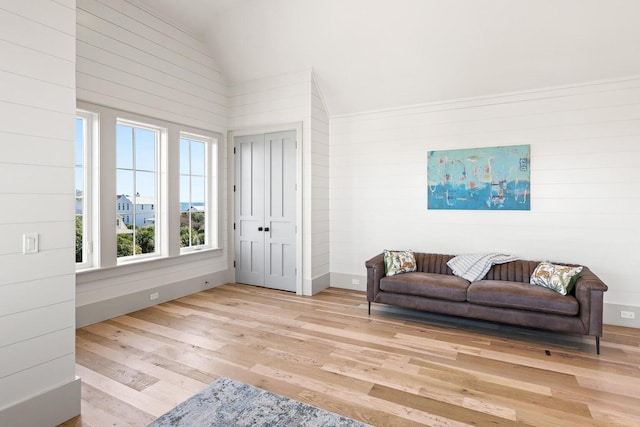 living area featuring light hardwood / wood-style floors and lofted ceiling