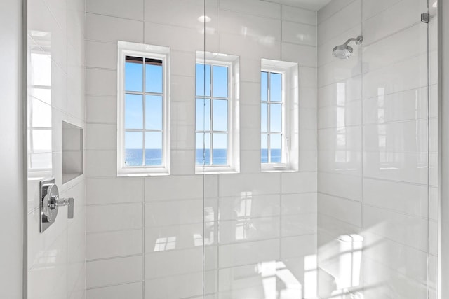 bathroom with a water view and tiled shower