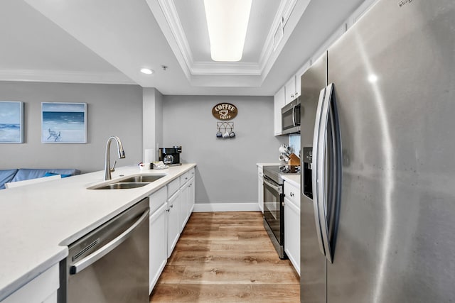 kitchen with sink, crown molding, a tray ceiling, white cabinetry, and appliances with stainless steel finishes