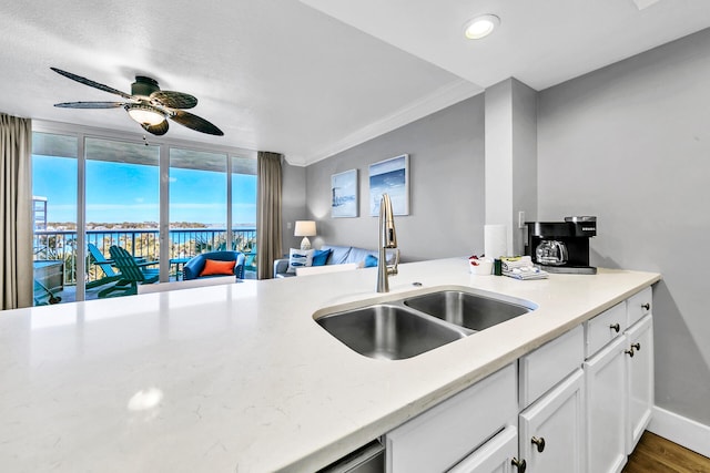 kitchen with dark wood-type flooring, white cabinetry, sink, ceiling fan, and crown molding