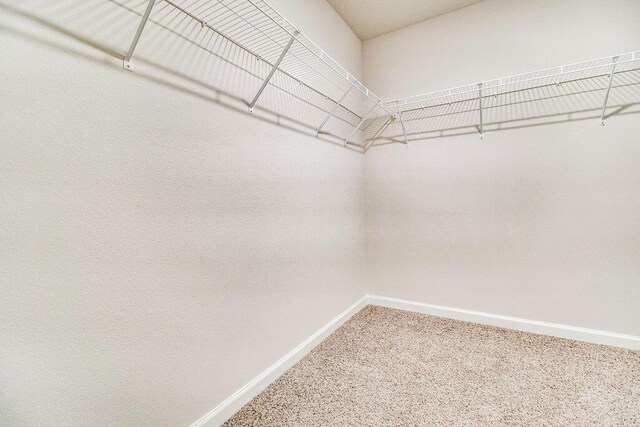 walk in closet with carpet