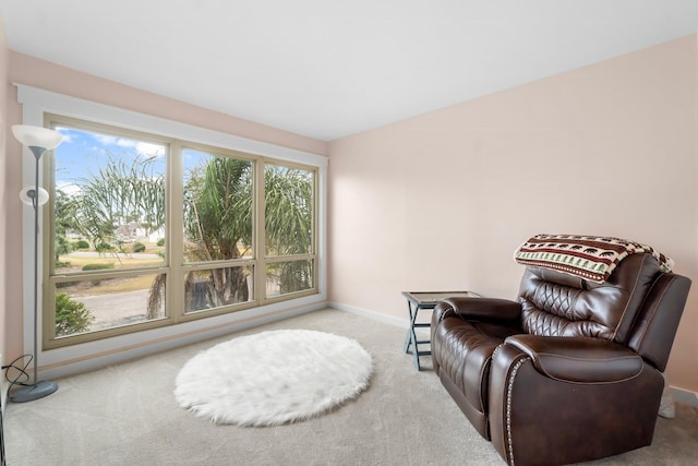 living area featuring light colored carpet