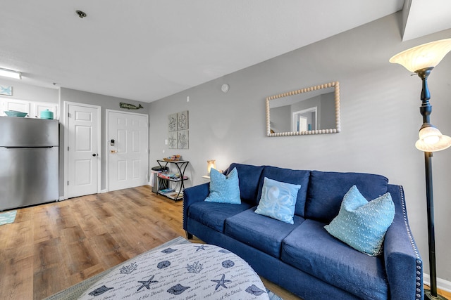 living room featuring wood-type flooring