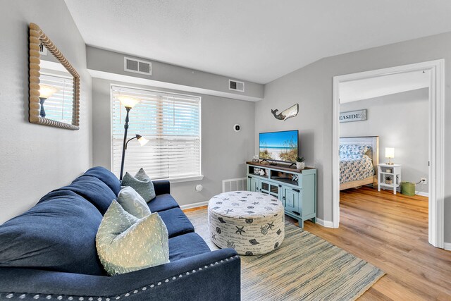 living room featuring wood-type flooring