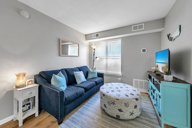 living room featuring wood-type flooring