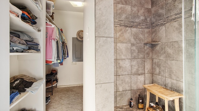 spacious closet with electric panel and carpet