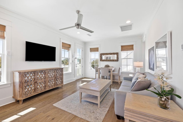 living room with ceiling fan, wood-type flooring, and ornamental molding