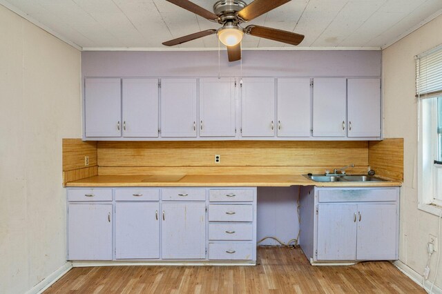 kitchen featuring white cabinetry, ceiling fan, light hardwood / wood-style floors, and sink