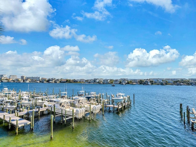 dock area with a water view