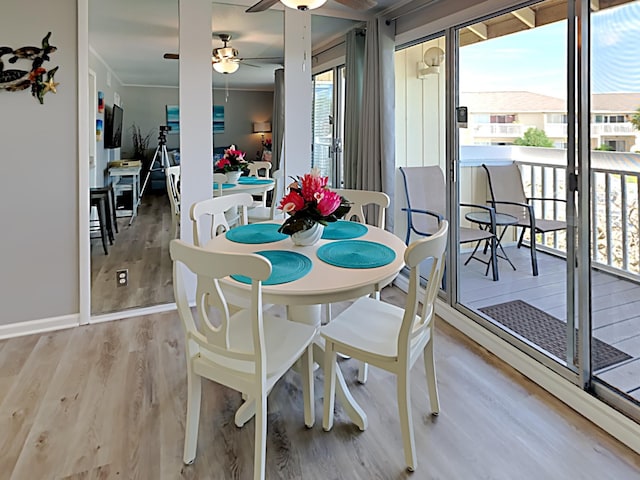 dining space with light wood-type flooring and ceiling fan