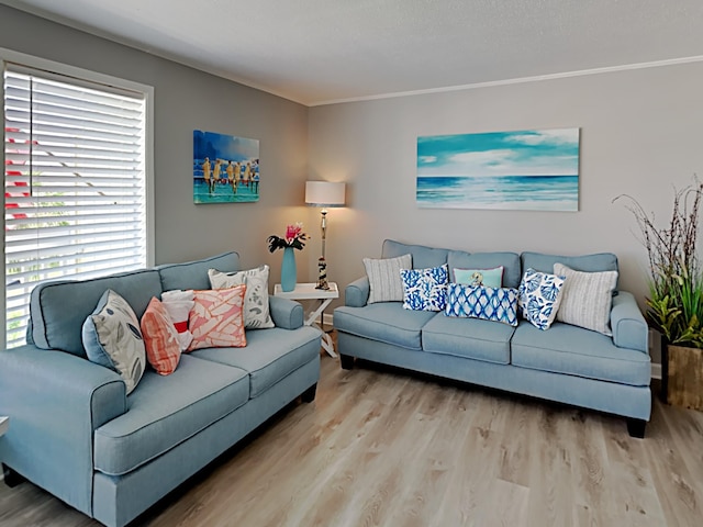 living room featuring light hardwood / wood-style floors