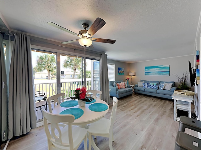 dining area featuring a textured ceiling, ceiling fan, and light wood-type flooring