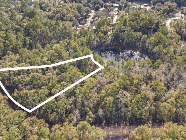 Listing photo 3 for LOT24 Blue Creek Rd, Ponce De Leon FL 32455