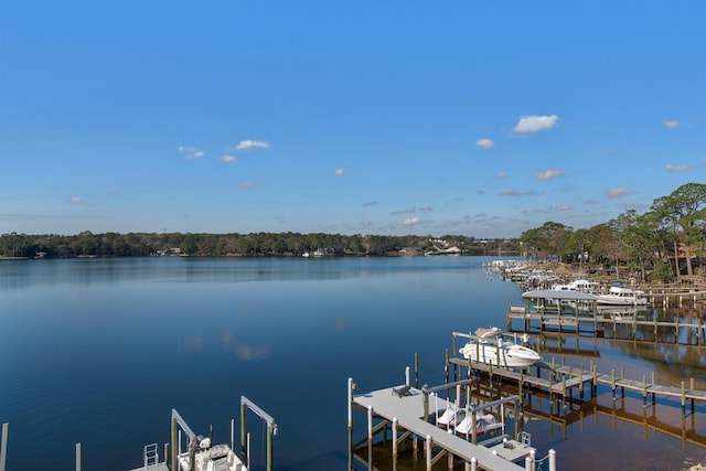 view of dock featuring a water view and boat lift