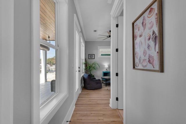 hallway with baseboards and light wood-type flooring