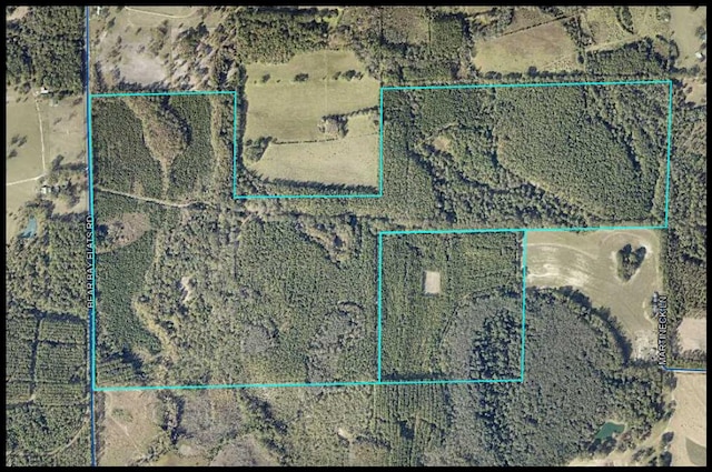 XXX Bear Bay Flats Rd, Laurel Hill FL, 32567 land for sale