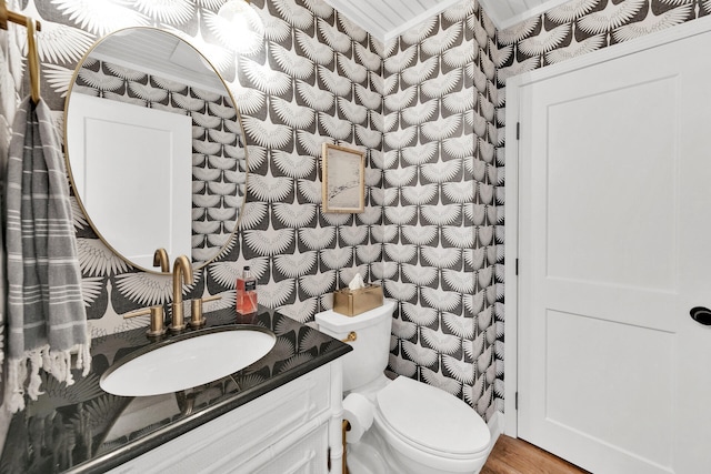 bathroom with toilet, wood-type flooring, and vanity