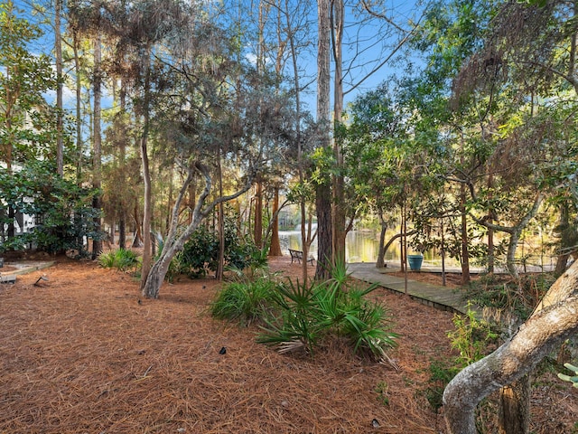 view of yard with a water view