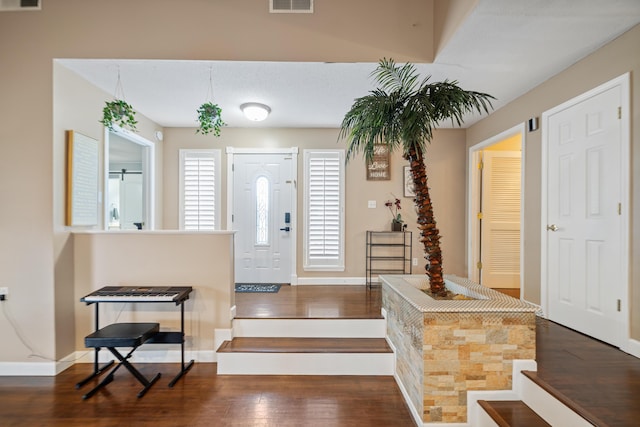 entrance foyer with dark wood-type flooring