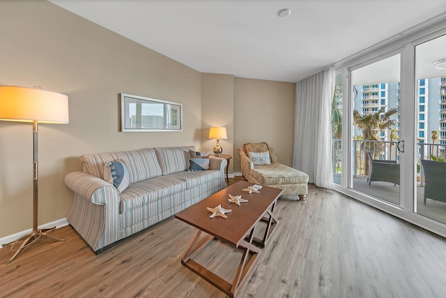 living room with wood-type flooring