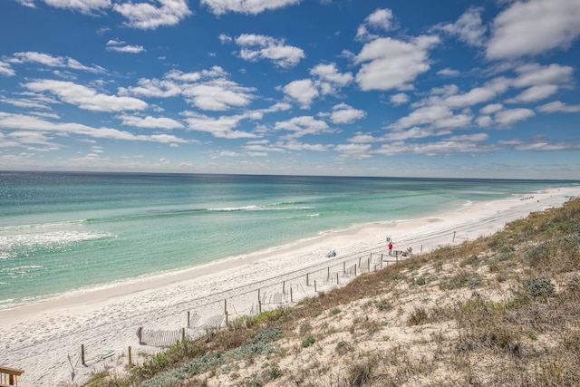 water view featuring a beach view