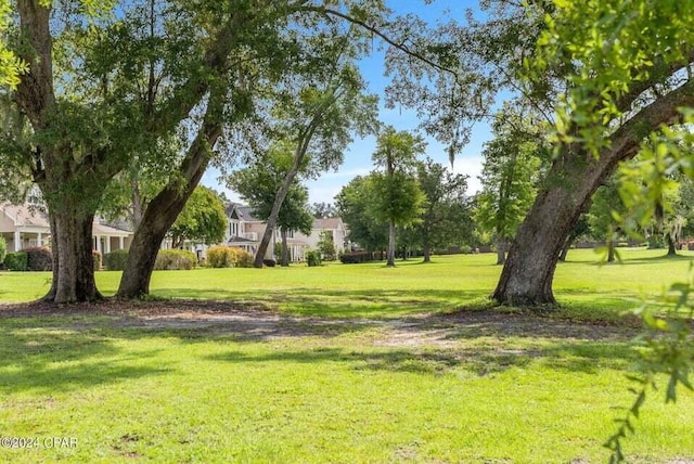 view of property's community with a yard