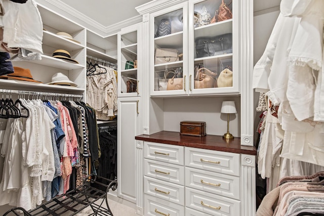 view of walk in closet