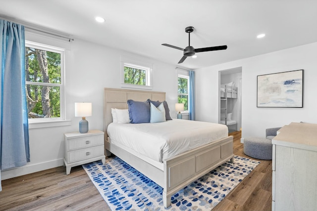 bedroom with ceiling fan, a spacious closet, multiple windows, and light wood-type flooring