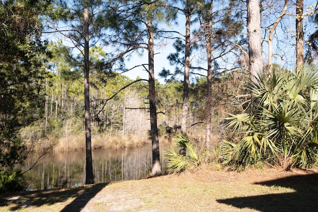 view of yard with a water view