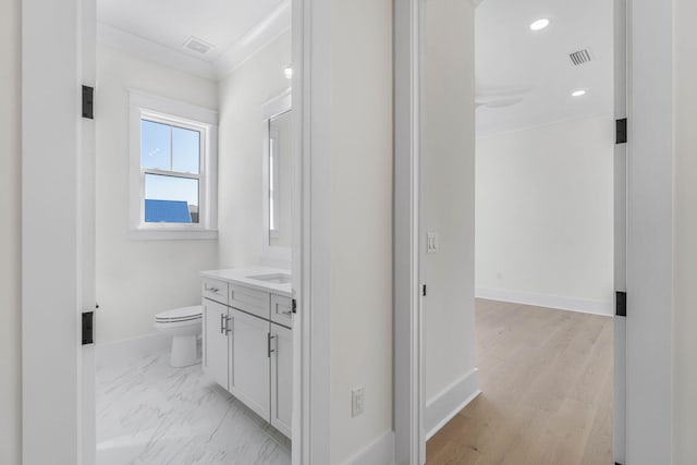 bathroom with vanity, wood-type flooring, and toilet