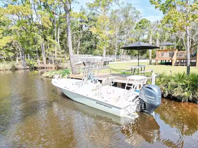 dock area with a water view