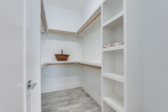 walk in closet featuring light hardwood / wood-style floors