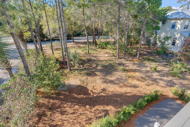 41 Tresca Lake Ct, Santa Rosa Beach, FL 32459 - view of yard