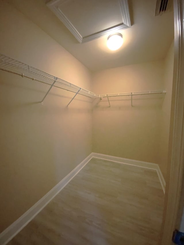 walk in closet featuring hardwood / wood-style flooring