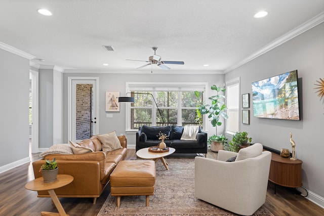 living room featuring ceiling fan, dark wood-type flooring, and crown molding