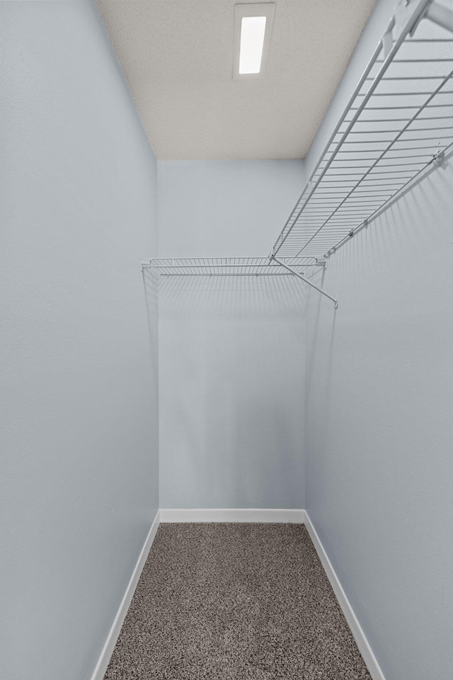 spacious closet with carpet flooring