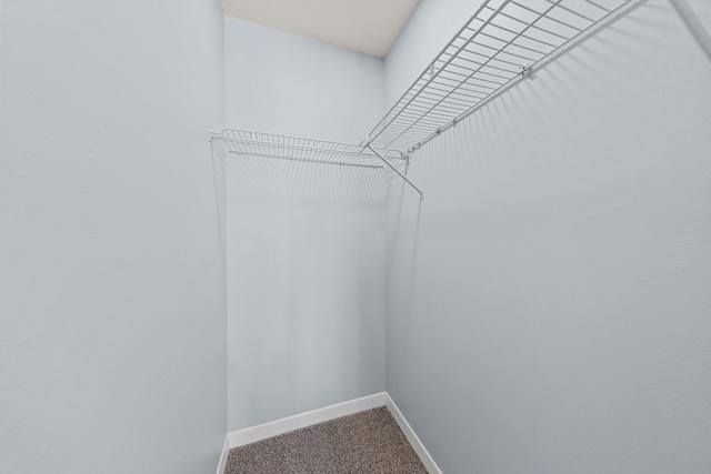 walk in closet featuring carpet flooring