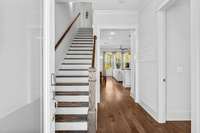 staircase with ceiling fan, crown molding, and hardwood / wood-style floors