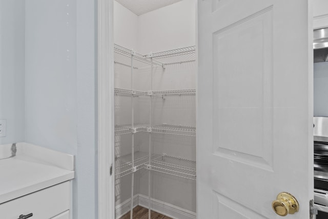 view of pantry