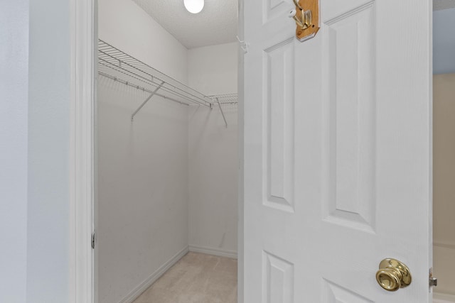 spacious closet with light carpet