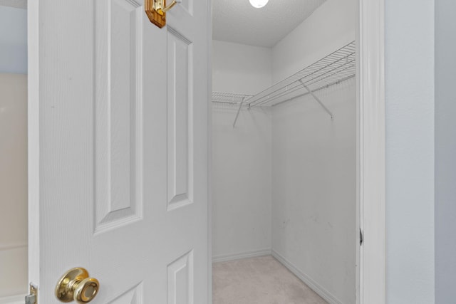 walk in closet with light carpet