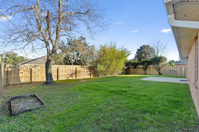 view of yard featuring a patio