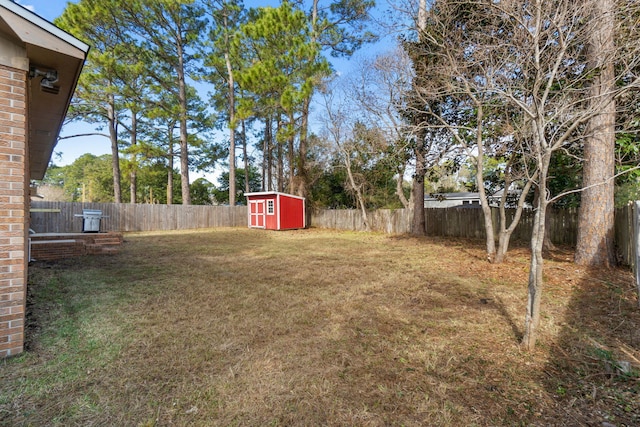 view of yard with a shed