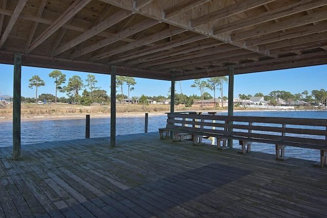 dock area with a water view