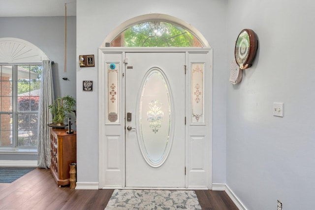 foyer with a healthy amount of sunlight and dark wood-type flooring