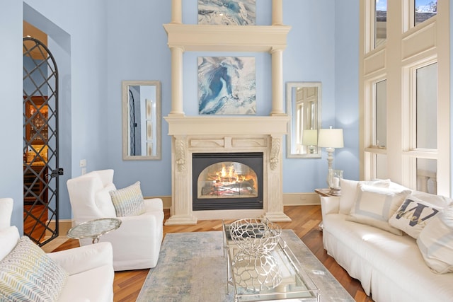 living room with a fireplace and hardwood / wood-style floors