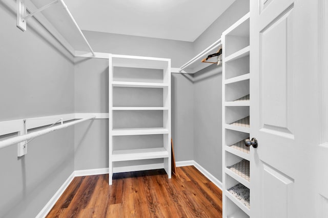 walk in closet featuring dark wood-type flooring