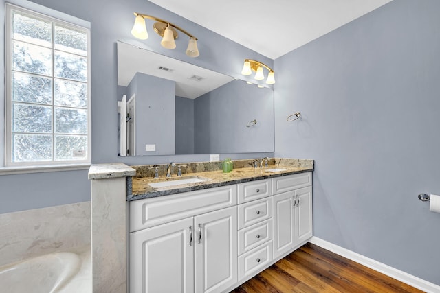 bathroom with double vanity, plenty of natural light, and a sink