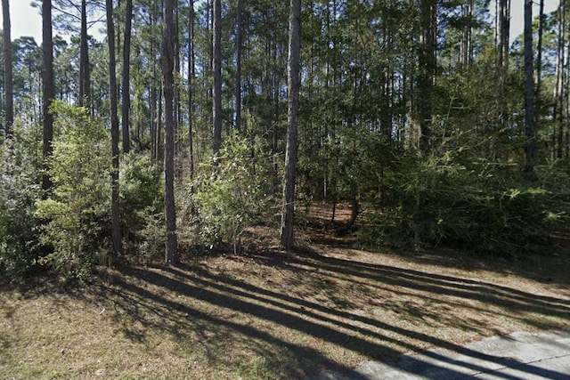 LOT50 Concert Ct, Freeport FL, 32439 land for sale